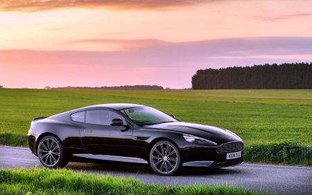 2015 Astin Martin DB9 - field, 2015, aston martin, cars