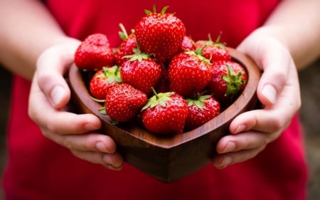 strawberries in girls hand - beauty, basket, strawberries, red