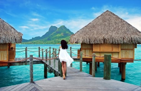 ♥Tropical Paradise♥ - tropical, beach, resort, hut, pier