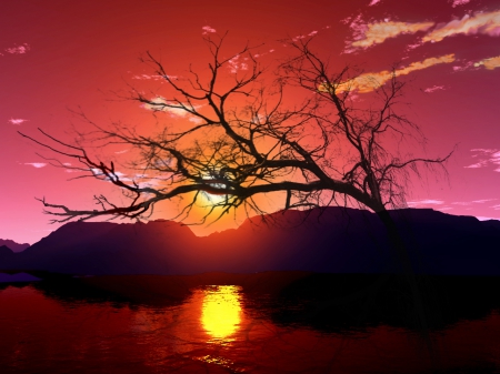 nature - sunsets, nature, trees, sun