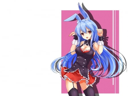 KuroUsagi - kurousagi, blue hair, bunny ears, garters