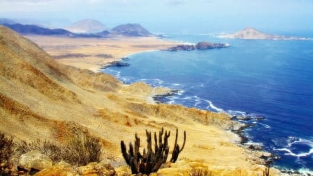 national park beach in chile - coast, beach, sea, cactus, mist