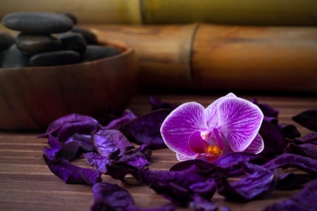 Spa - purple, flowers, spa, spas, violet, flower