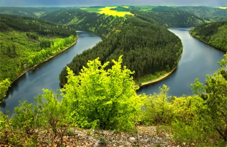 River view - trees, water, high, beautiful, forest, lovely, river, nature, view, green