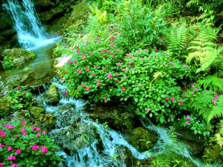 Forest stream - freshness, stream, summer, nature, pretty, forest, beautiful, green, leaves, flowers