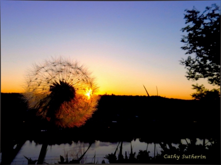 Until Tomorrow My Friend - sky, ohio, sun, water, sunset, field, nature, reflection, river, grass, flower