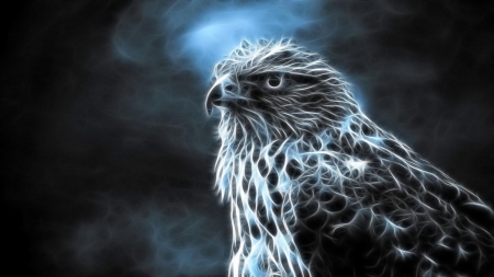 Hawk - bird, blue, livingdoll, black, grey, white, gray, hawk, fractal