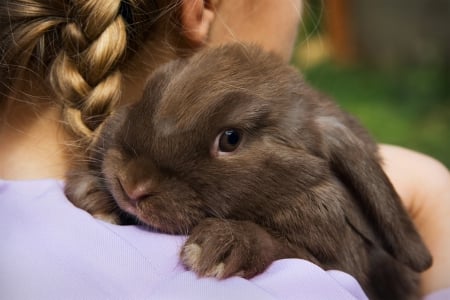 Tender Friendship♥ - brown, girl, blonde, together, friendship, tender