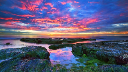 Magnificent scenery - algae, clouds, sunset, sea, stones, rocks, sky