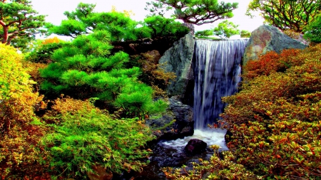 a garden waterfall - garden, waterfall, bushes, rocks