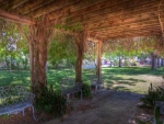 vine covered arbor in a park hdr