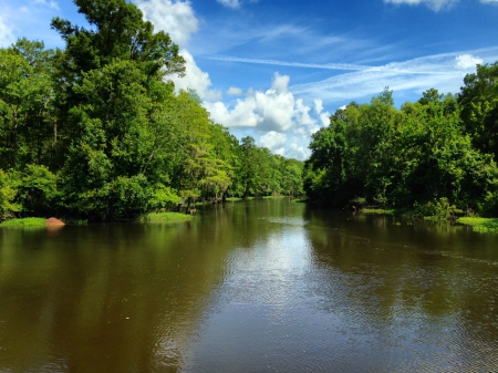 Summer - nature, water, louisiana, rivers, summer, swamp