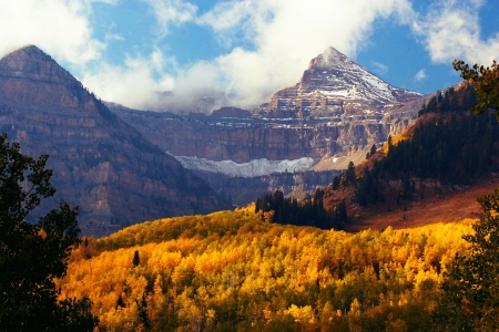 Uinta National Forest, Utah - white, autumn, trees, forest, yellow, clouds, beautiful, mountains