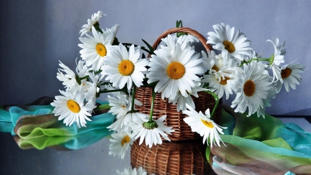 Still Life - white, basket, flowers, still life