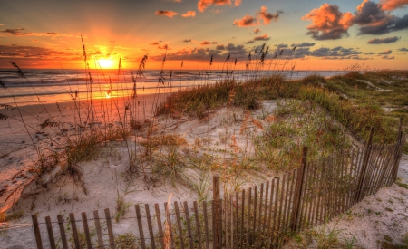 Daytona Beach Sunrise - clouds, dunes, beach, beautiful, sea, sunrise, fence, sand, California, sky