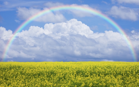 * Rainbow * - field, rainbow, nature, sky