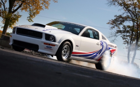 FORD COBRA JET MUSTANG TIRE BURN - wallpapers up, sema show, sport truck, socal customs