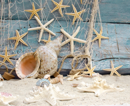 â™¥Seashellsâ™¥ - starfish, seashells, marine, sand