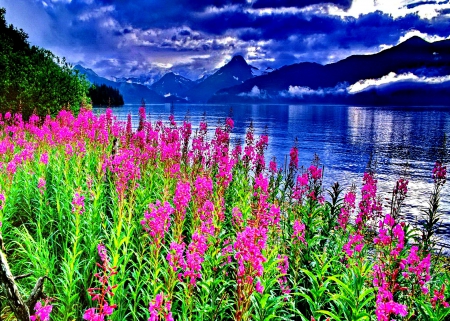 Lakeshore flowers - lakeshore, sky, natrue, lake, landscape, paradise, mountains, splendor, flowers, phtography