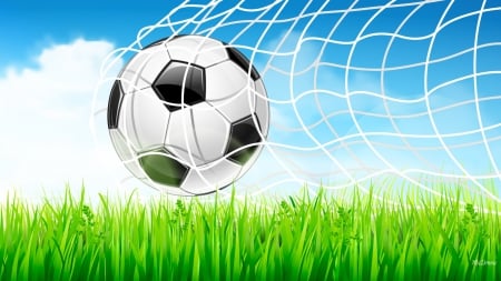 G O A L - clouds, fun, play, goal, ball, grass, score, football, sport, soccer, sky, net