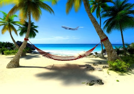 Airplane flying over the island - beach, ocean, tropics, palms, hammok