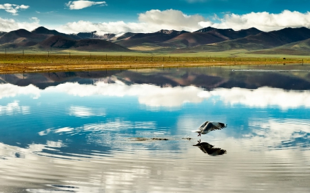 Beautiful Lake In The Heights Of Tibet - mountains, prairie, beautiful, peaceful, lake, himalayas, reflection, clouds, birds