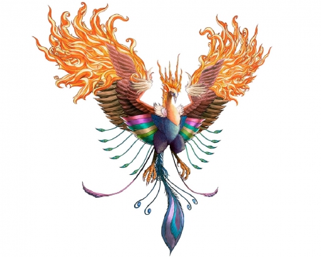 A Phoenix - colorful, fantasy, fire, bird