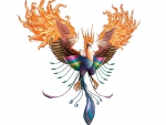 A Phoenix