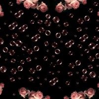 Roses and bubbles