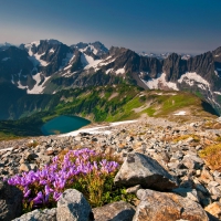 View from the Sahale Glacier Camp