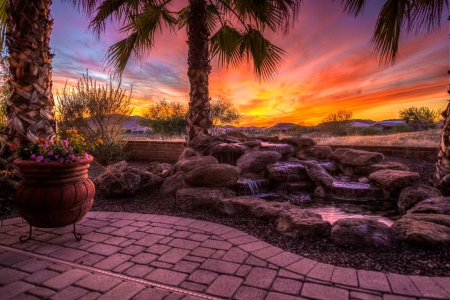 Phoenix sunrise - clouds, trees, cascades, palms, phoenix, amazing, sunrise, colors, flowers, sunset, fiery, sky