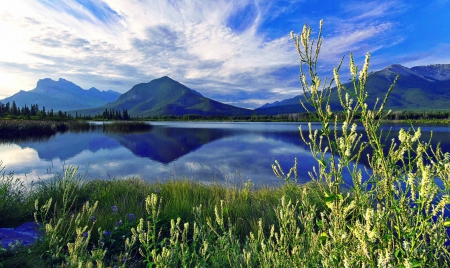 Lake serenity - lake, sky, summer, shore, mirrored, cluds, serenity, reflectiion, calmness, clouds, tranquil, blue, beautiful, grass