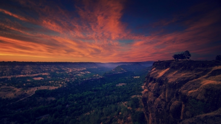 canyon at twilight - canyon, clouds, twilight, bushes, cliffs