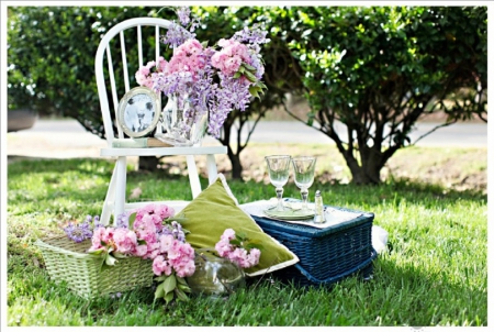 pink picnic - flowers, nature, garden, picnic, pink