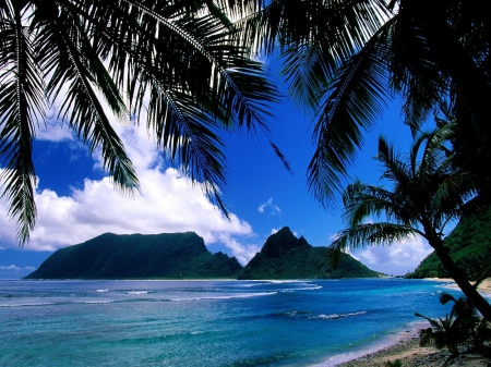 Tropical Beach - clouds, palms, water, cliff, island, sea