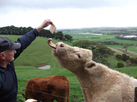 lick or treat at the burra - cold, long, big, wet