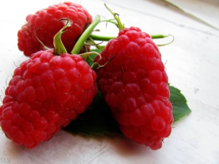 Red Raspberries - red, sweet, fruits, food, raspberries