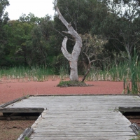 WALKWAY OVER THE SWAMP