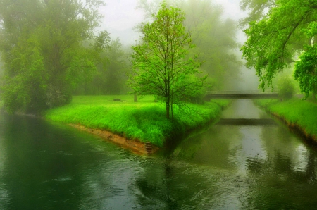 Morning on the river - morning, trees, greenery, water, summer, mist, nature, reflection, river, beautiful, fog, bridge