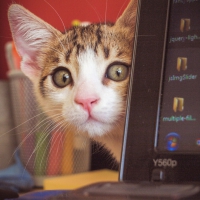 Hello !