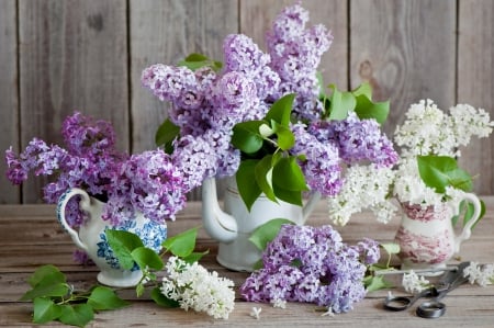 * For a good day my friends...* - flowers, lilacs, flower, nature