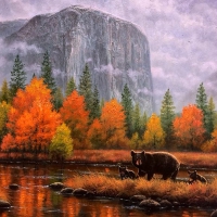 âœ«Misty Yosemite in Fallâœ«