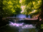 Forest Waterfall