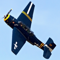 WWII Navy Blue Avenger