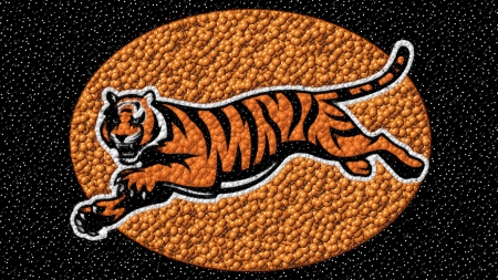 Bengal Balls - nfl, cincinnati, cincinnati bengals, bengals, cincinnati bengals wallpaper