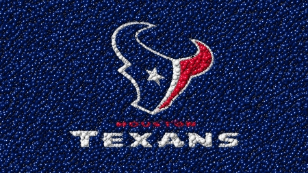 Texan Balls - Houston Texans wallpaper, Houston Texans, NFL, NFL wallpaper, Texans