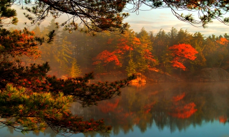 Misty Fall - lake, autumn, trees, forest, reflection, red, blue, beautiful, green, fog, colors