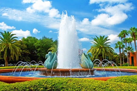 Garden fountain - pretty, water, beautiful, flowers, palms, fountain, garden, sky, park