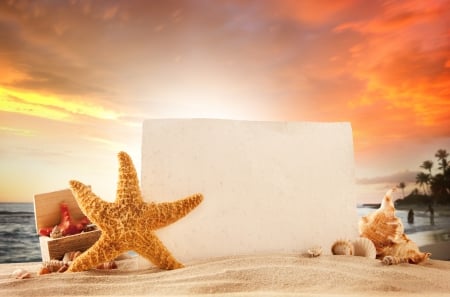 ♥Summer Vacation♥ - starfish, shells, summer, beach, vacation, sand