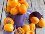 â™¥Apricotsâ™¥